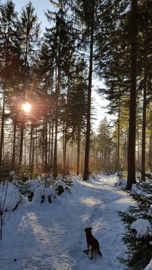 Im Erzgebirge Wandern, Fahrrad Fahren Oder Entspannen Ehrenfriedersdorf Exteriér fotografie