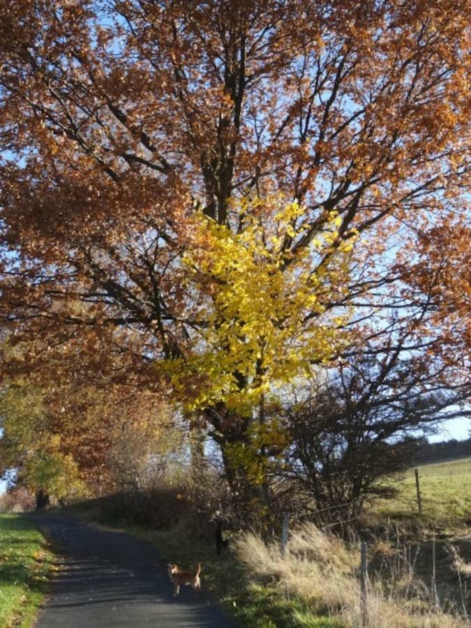 Im Erzgebirge Wandern, Fahrrad Fahren Oder Entspannen Ehrenfriedersdorf Exteriér fotografie